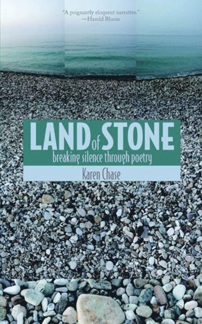 Karen Chase - Land of Stone, E-bok