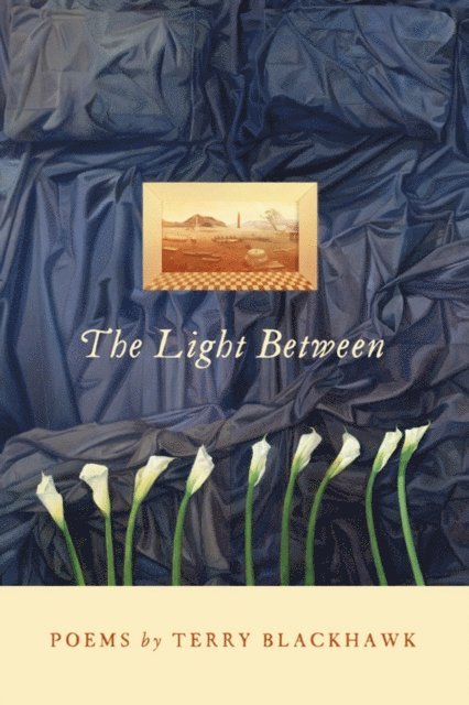 Terry Blackhawk - Light Between, E-bok