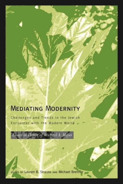 Michael Brenner, Lauren B. Strauss - Mediating Modernity, E-bok