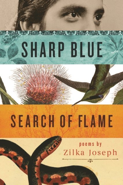 Zilka Joseph - Sharp Blue Search of Flame, E-bok