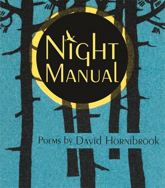 David Hornibrook - Night Manual, Häftad