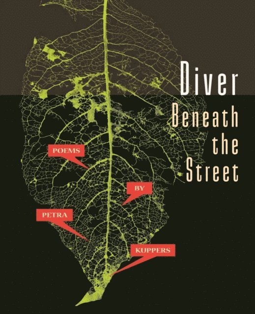 Petra Kuppers - Diver Beneath the Street, E-bok