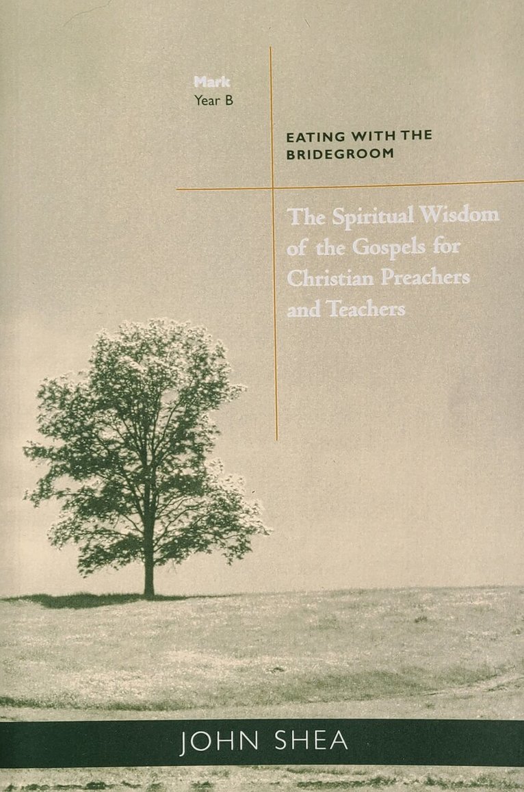 John Shea - Spiritual Wisdom of Gospels for Christian Preachers and Teachers, Häftad
