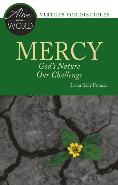 Laura Kelly Fanucci - Mercy, God's Nature, Our Challenge, E-bok