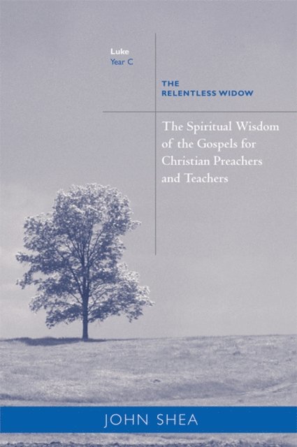John Shea - Spiritual Wisdom Of Gospels For Christian Preachers And Teachers, E-bok