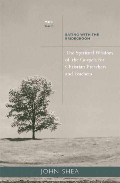John Shea - Spiritual Wisdom of Gospels for Christian Preachers and Teachers, E-bok