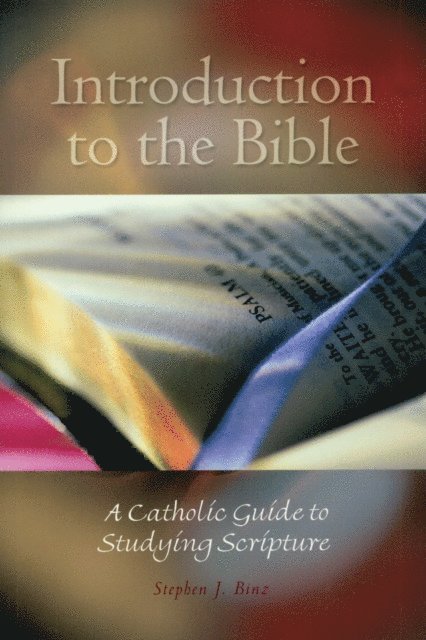 Stephen J. Binz - Introduction to the Bible, E-bok