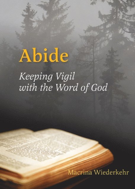 Macrina Wiederkehr - Abide, E-bok