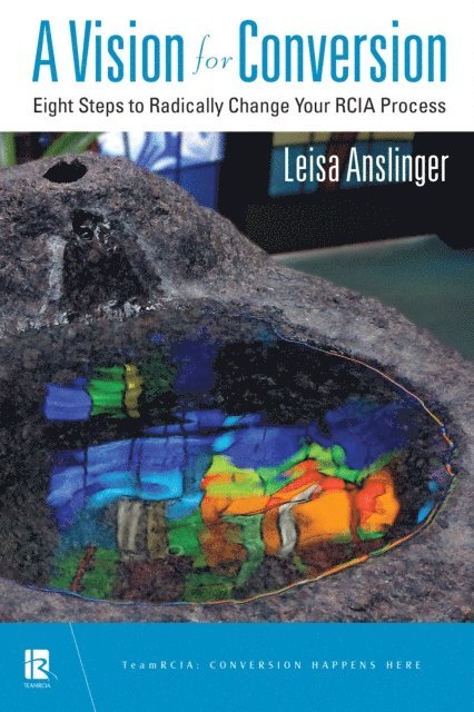 Leisa Anslinger - Vision for Conversion, E-bok