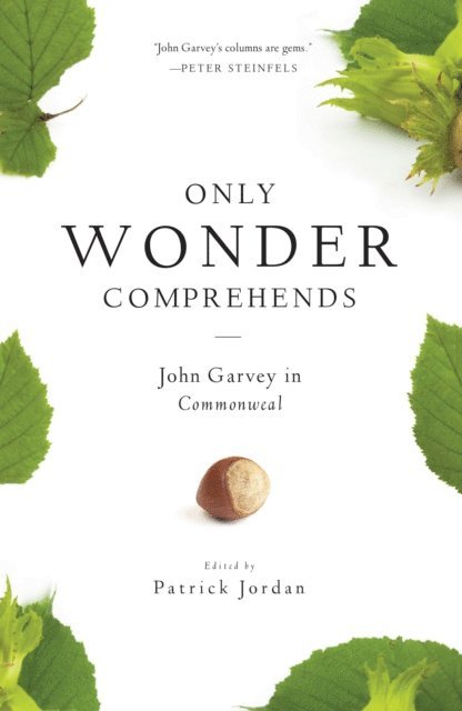 John Garvey, Patrick Jordan - Only Wonder Comprehends, E-bok