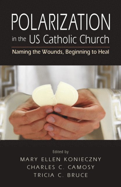 Tricia C. Bruce, Charles C. Camosy, Mary Ellen Konieczny - Polarization in the US Catholic Church, E-bok