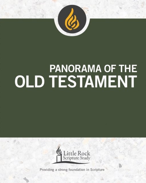 Stephen J. Binz - Panorama of the Old Testament, E-bok