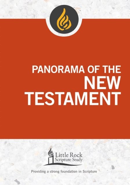 Stephen J. Binz - Panorama of the New Testament, E-bok