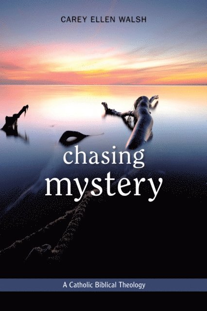Carey Walsh - Chasing Mystery, E-bok