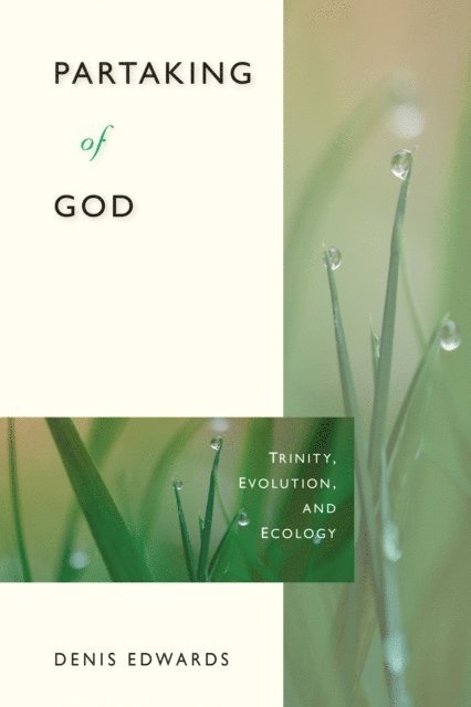 Denis Edwards - Partaking of God, E-bok