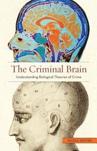 The Criminal Brain