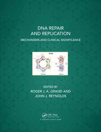 Roger J. A. Grand, John J. Reynolds - DNA Repair and Replication, Häftad