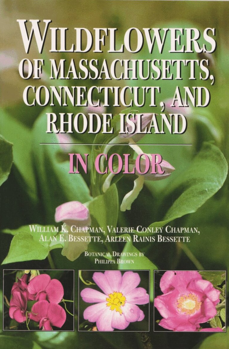 William K. Chapman, Valerie Conley Chapman, Alan E. Bessette, Arleen R. Bessette - Wildflowers of Massachusetts, Connecticut, and Rhode Island in Color, Häftad. Tillgänglighet: Tillfälligt slut