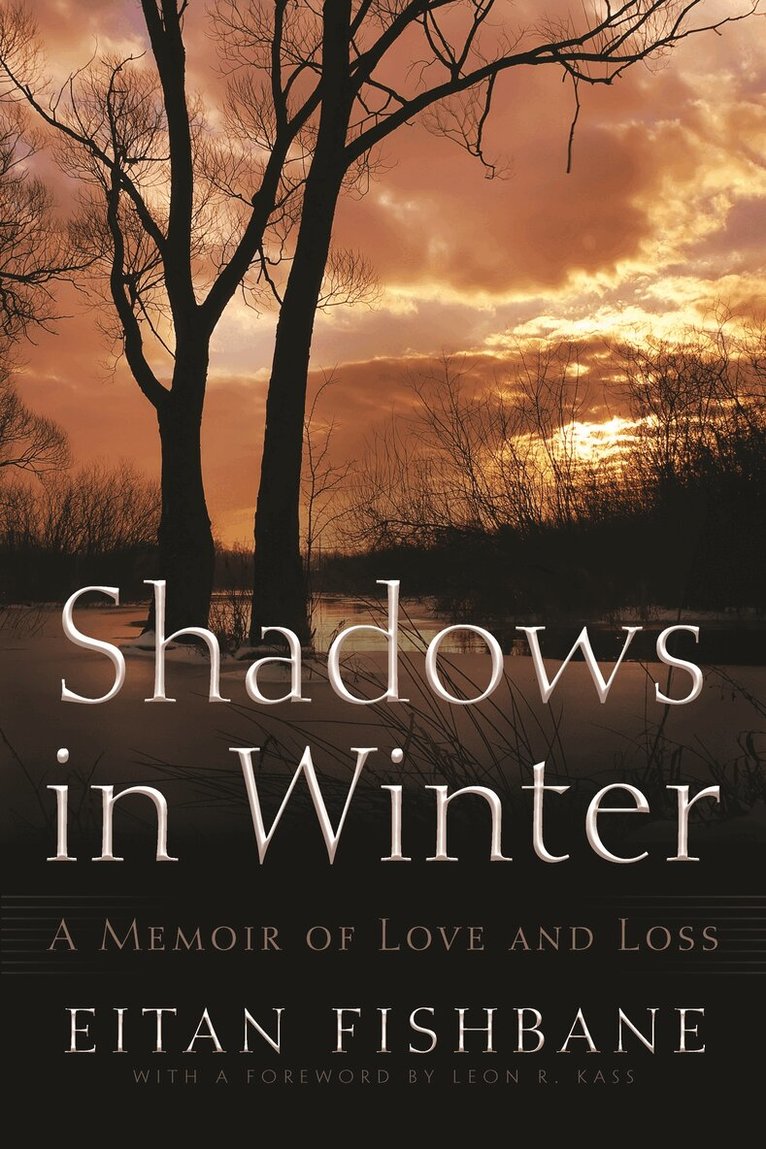 Eitan Fishbane - Shadows in Winter, Inbunden. Tillgänglighet: Tillfälligt slut