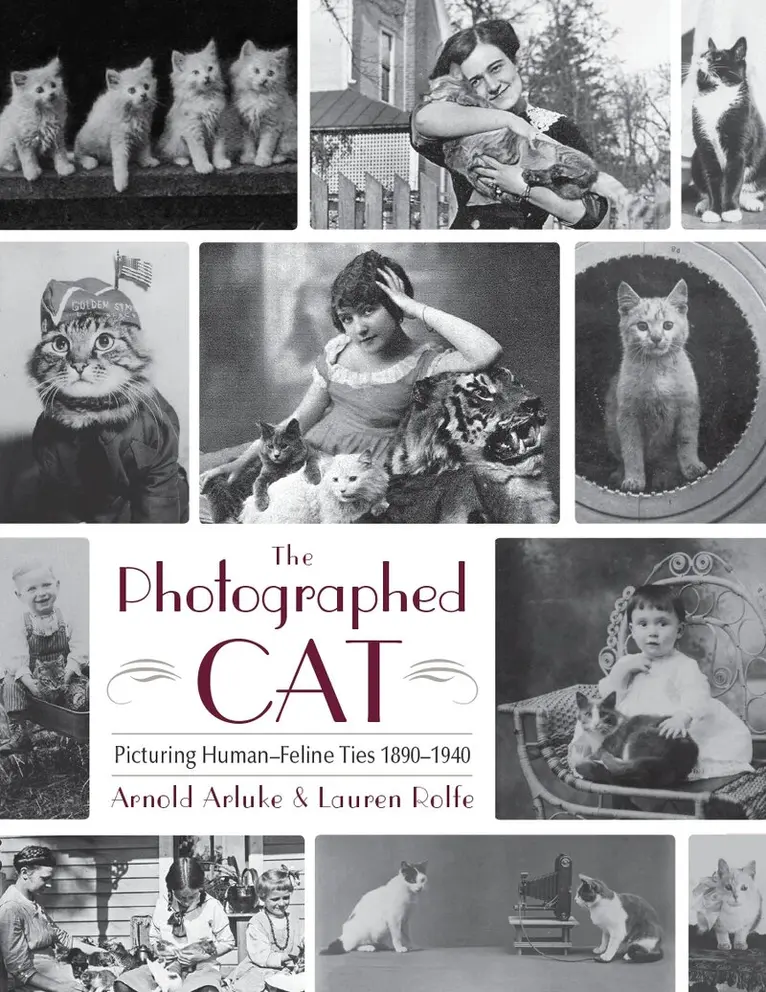 Arnold Arluke, Lauren Rolfe - Photographed Cat, Inbunden. Tillgänglighet: Tillfälligt slut