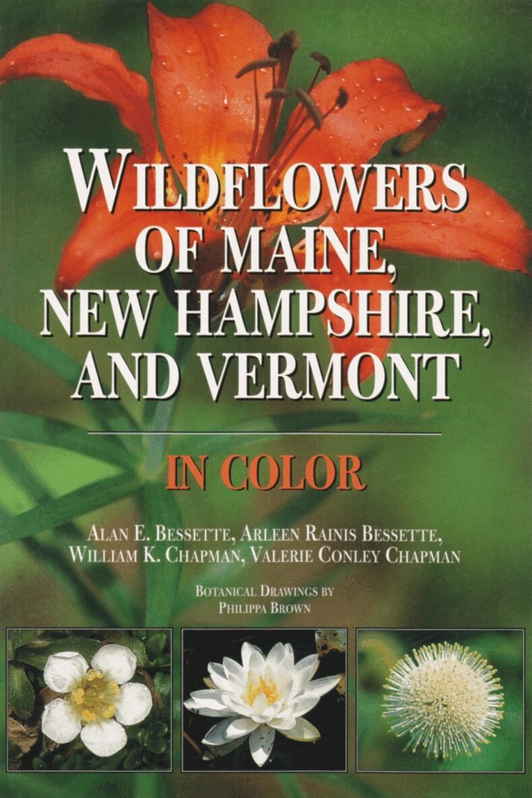 Alan E. Bessette, Arleen R. Bessette, William K. Chapman, Valerie Conley Chapman - Wildflowers of Maine, New Hampshire, and Vermont in Color, Inbunden. Tillgänglighet: Tillfälligt slut
