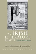 Irish Literature Reader