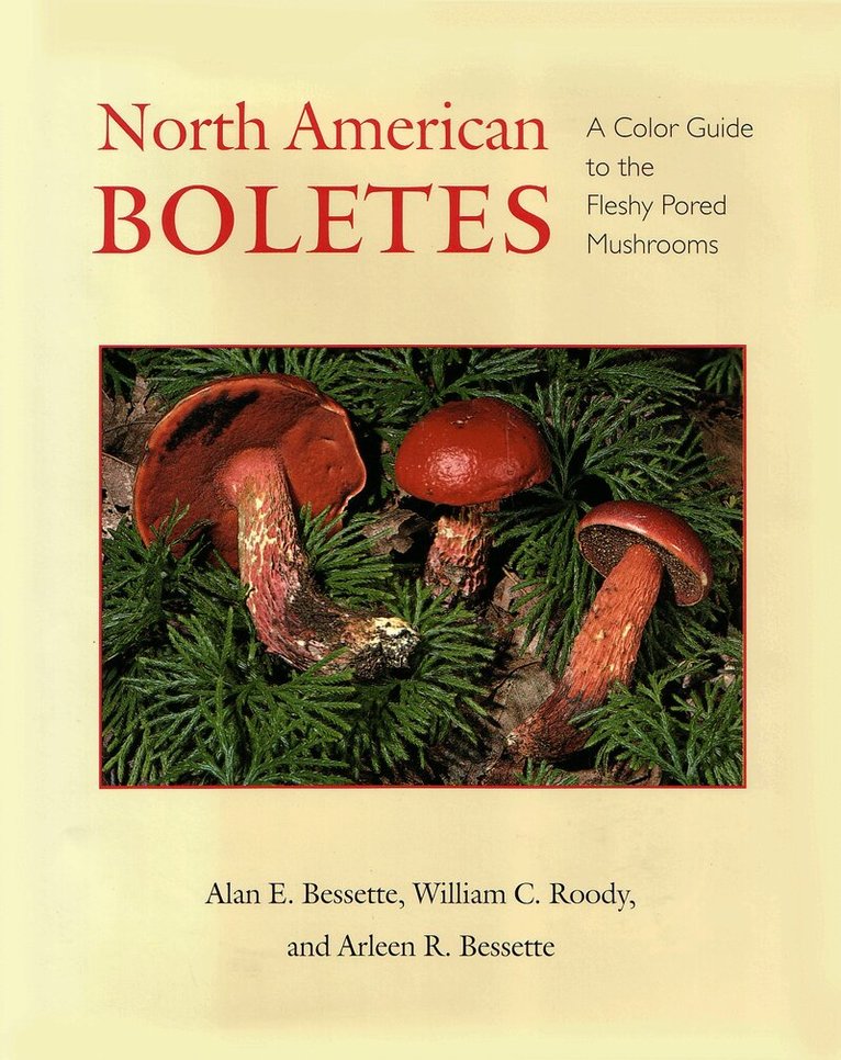 Alan E. Bessette, Arleen R. Bessette, William C. Roody - North American Boletes, Häftad