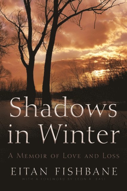 Eitan Fishbane - Shadows in Winter, E-bok