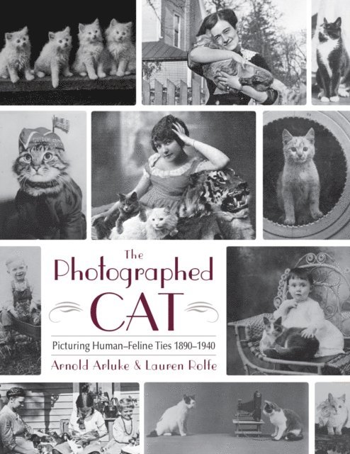 Lauren Rolfe, Arnold Arluke - Photographed Cat, E-bok