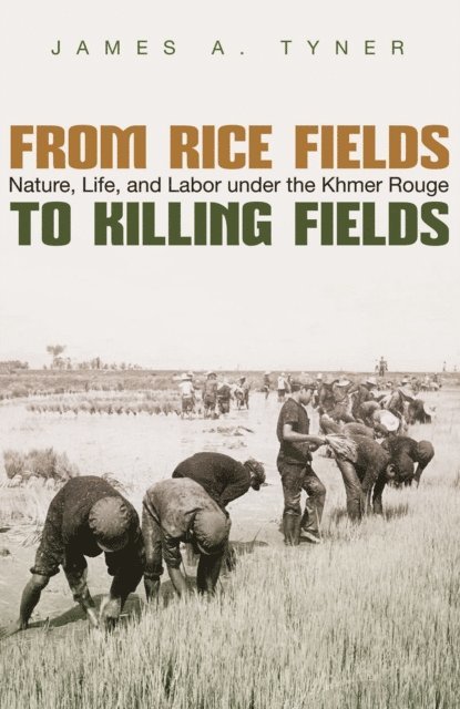 James A. Tyner - From Rice Fields to Killing Fields, E-bok