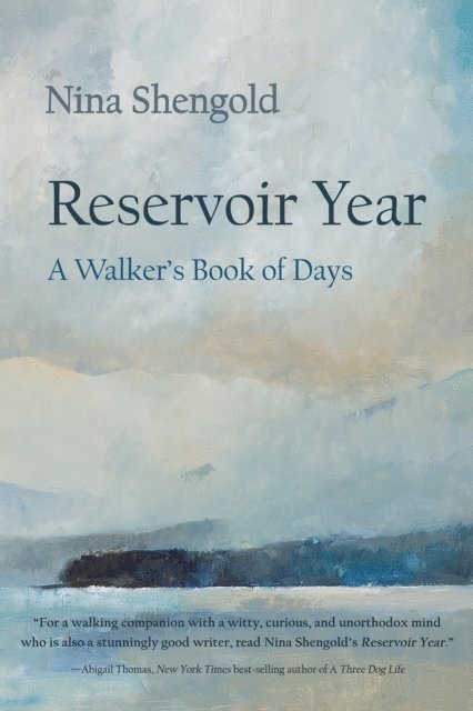 Nina Shengold - Reservoir Year, E-bok