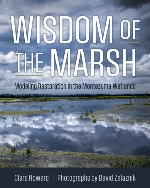 Clare Howard - Wisdom of the Marsh, E-bok
