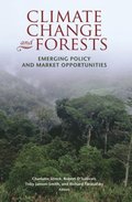 Climate Change and Forests