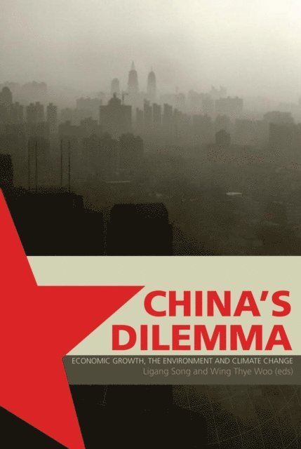 Ligang Song, Wing Thye Woo - China's Dilemma, E-bok