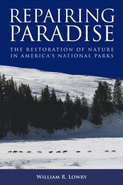 William R. Lowry - Repairing Paradise, E-bok