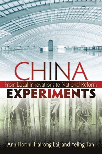 Ann M. Florini, Hairong Lai, Yeling Tan - China Experiments, E-bok