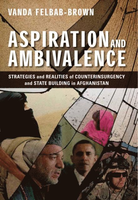 Vanda Felbab-Brown - Aspiration and Ambivalence, E-bok