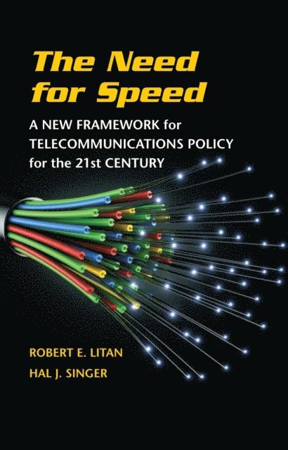 Robert E. Litan, Hal J. Singer - Need for Speed, E-bok