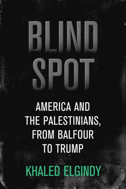 Khaled Elgindy - Blind Spot, E-bok