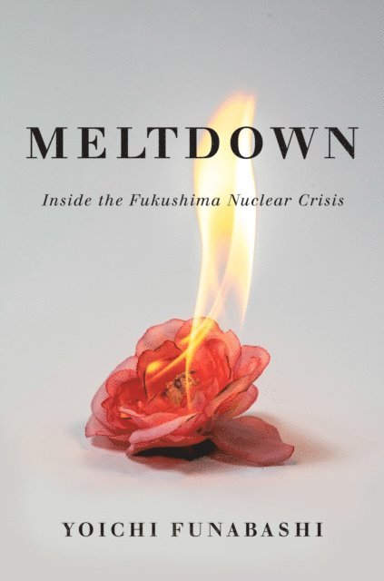 Yoichi Funabashi - Meltdown, E-bok