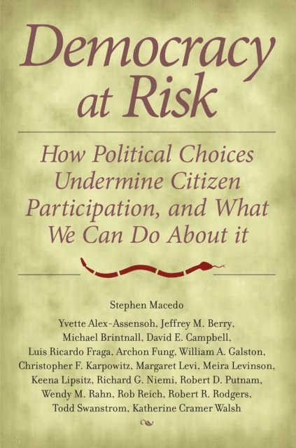 Stephen Macedo - Democracy at Risk, E-bok
