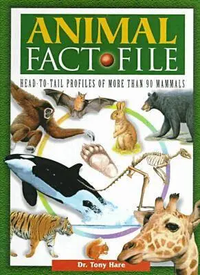 Hare - Animal Fact File, Inbunden. Tillgänglighet: Tillfälligt slut