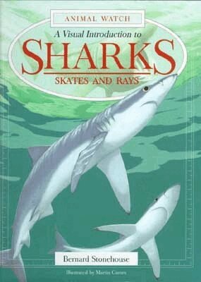 Bernard Stonehouse - Sharks, Inbunden. Tillgänglighet: Tillfälligt slut
