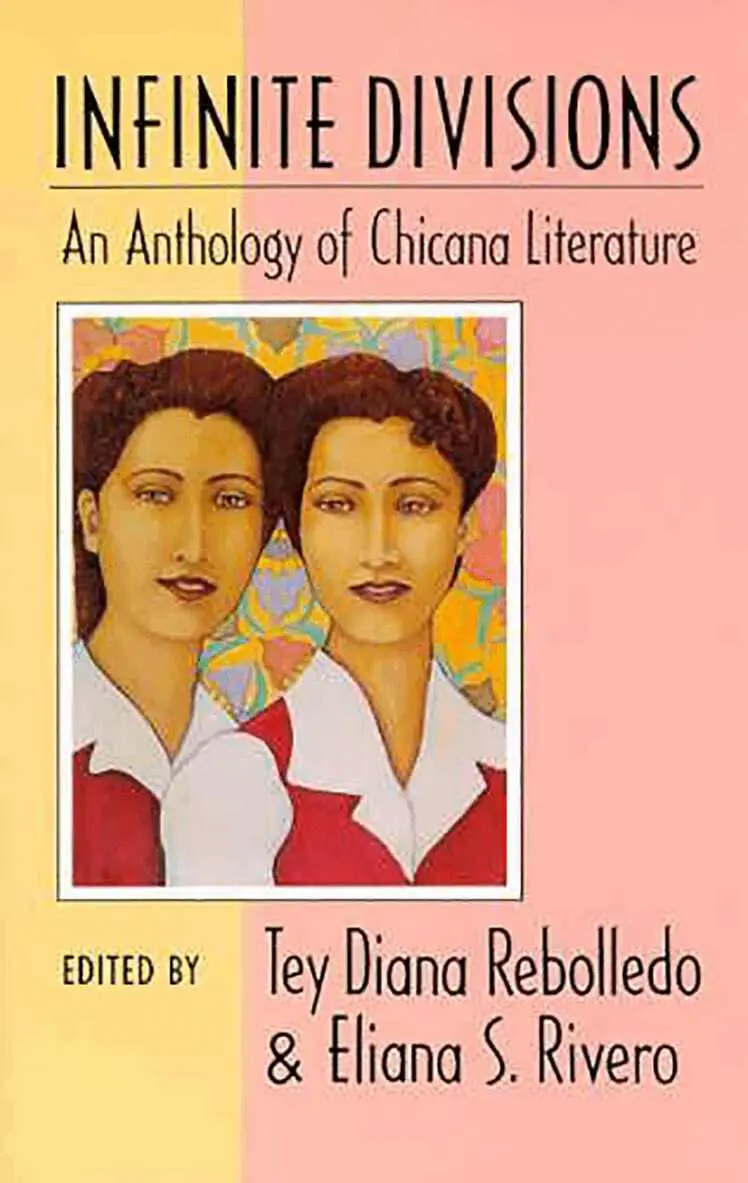 Tey Diana Rebolledo, Eliana S. Rivero - Infinite Divisions, Häftad. Tillgänglighet: Tillfälligt slut