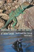 Amphibians, Reptiles, and Their Habitats at Sabino Canyon
