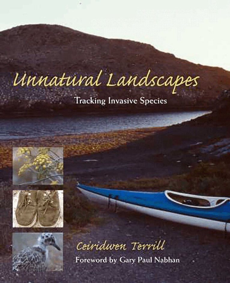 Ceiridwen Terrill - Unnatural Landscapes, Häftad. Tillgänglighet: Tillfälligt slut