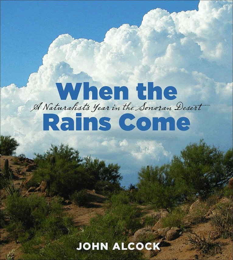 John Alcock - When the Rains Come, Häftad