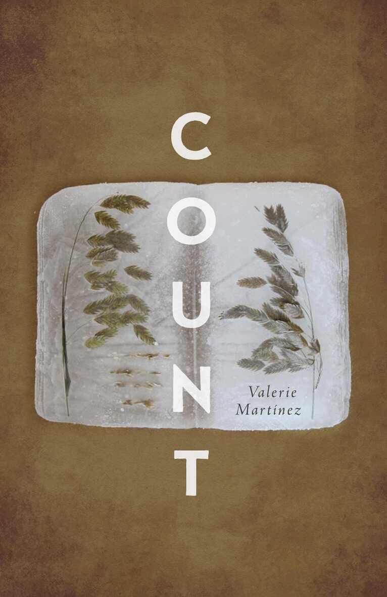 Valerie Martínez - Count, Häftad
