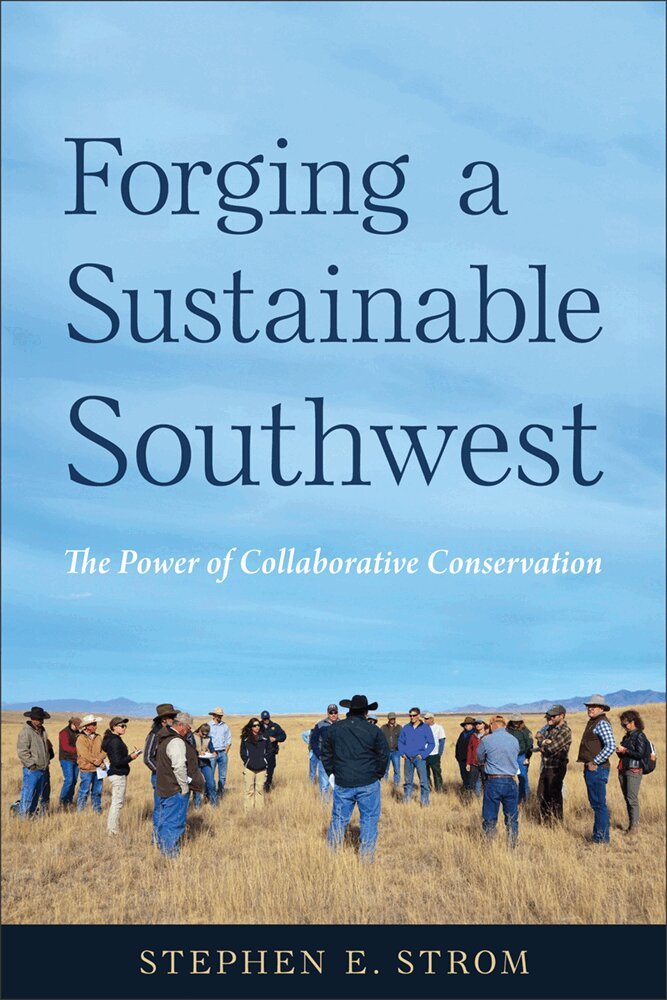 Stephen E. Strom - Forging a Sustainable Southwest, Häftad. Tillgänglighet: Tillfälligt slut