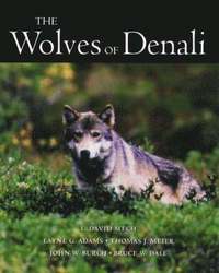 Wolves of Denali